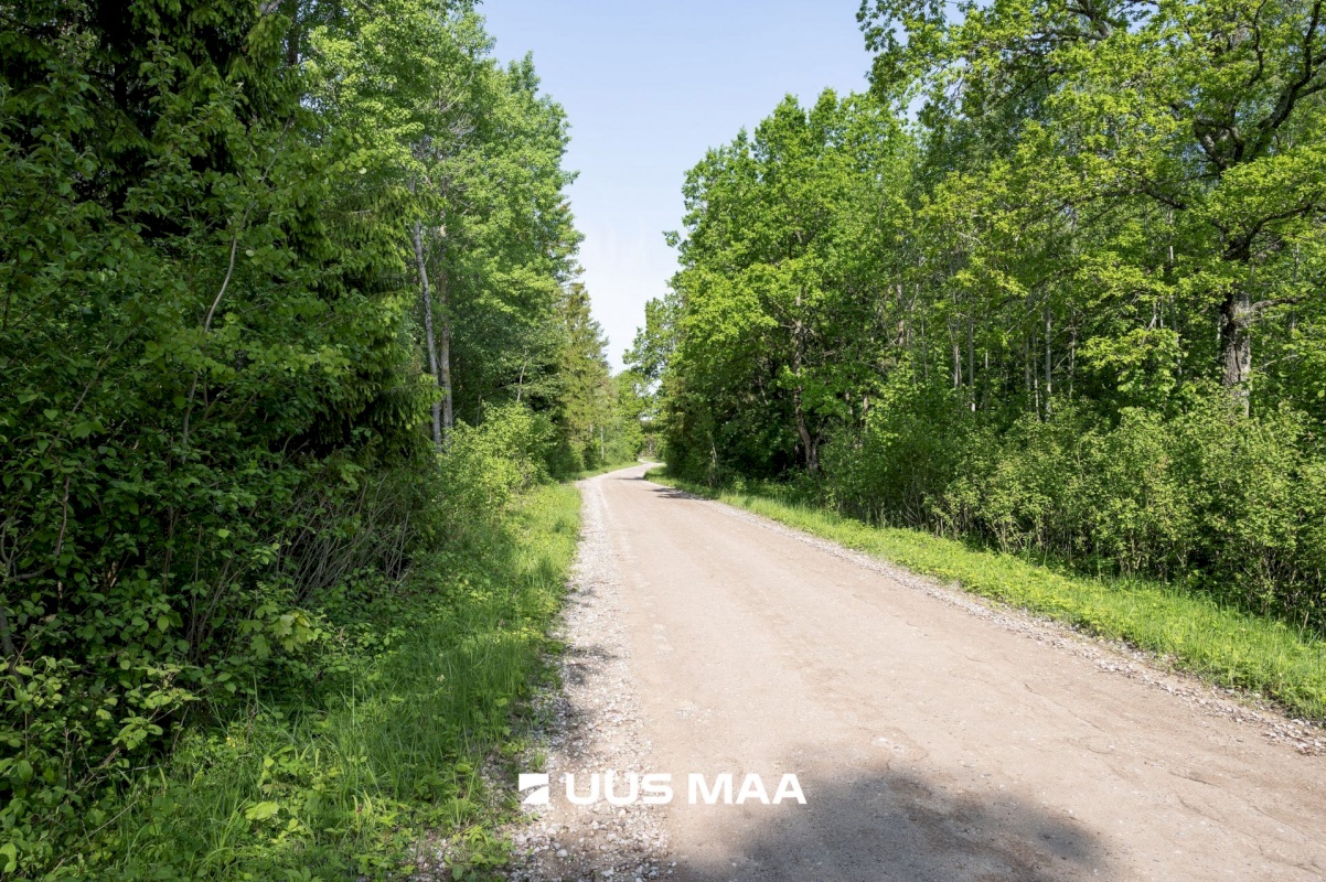 Saaremaa vald, Kalmu küla, Marise kinn