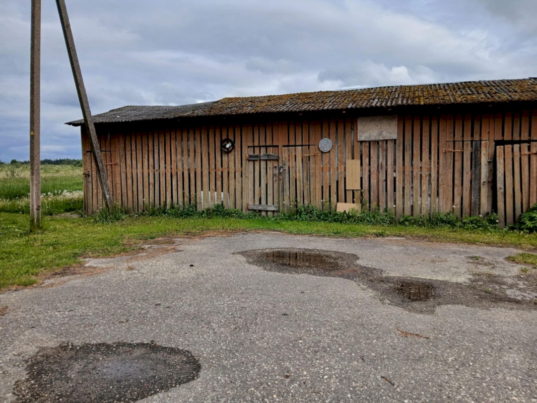 Põhja-Pärnumaa vald, Aasa küla