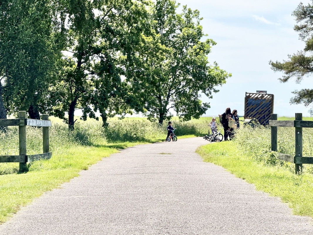 Pärnu linn, Pärnu linn, Mai, Mai 67