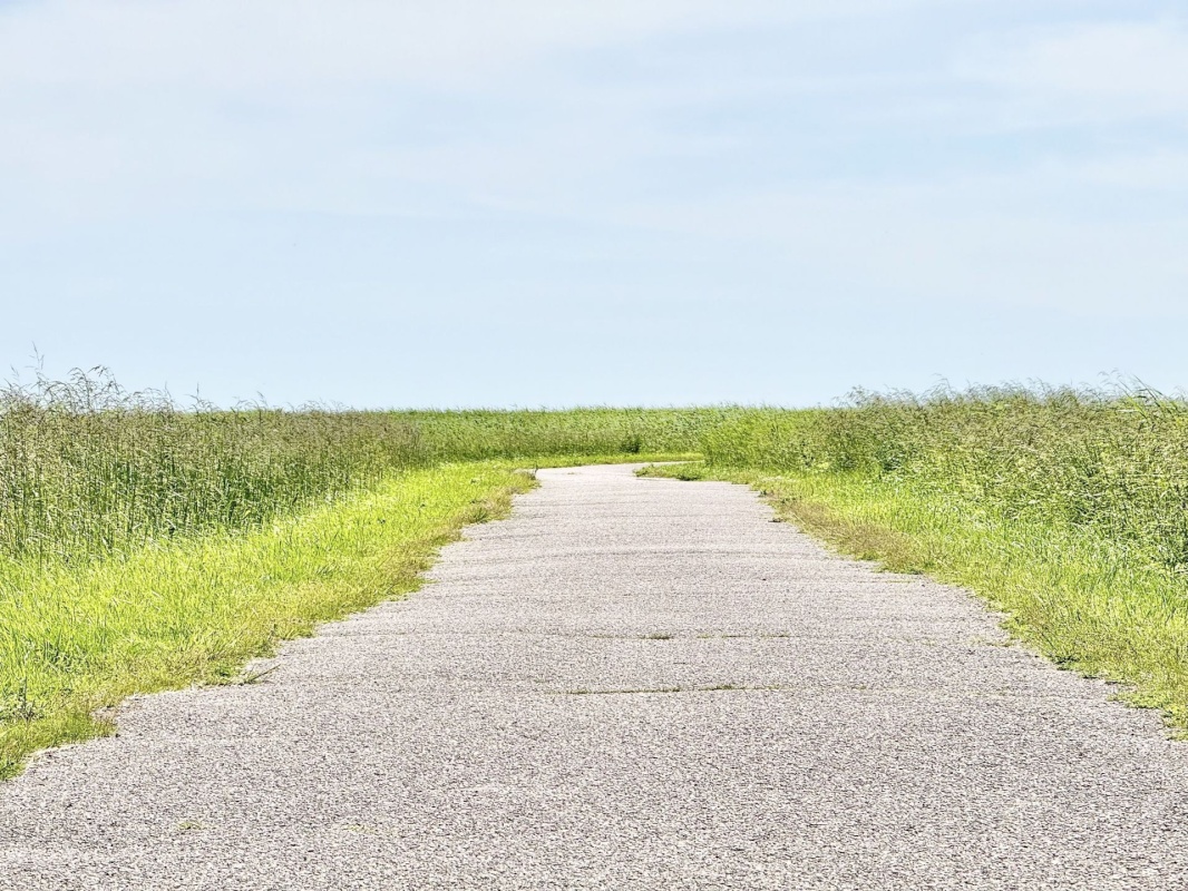 Pärnu linn, Pärnu linn, Mai, Mai 67