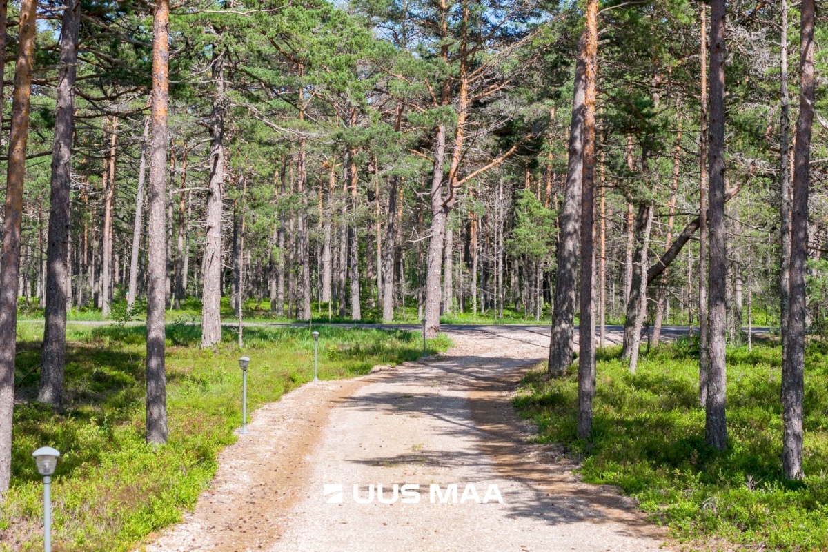 Lääne-Nigula vald, Rooslepa küla/Roslep, Trollitee