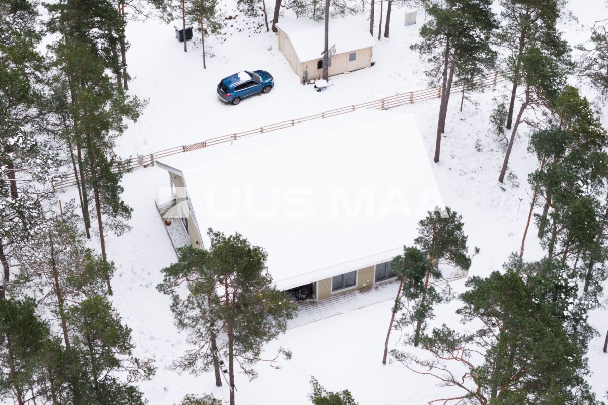 Lääne-Nigula vald, Rooslepa küla/Roslep, Trollitee