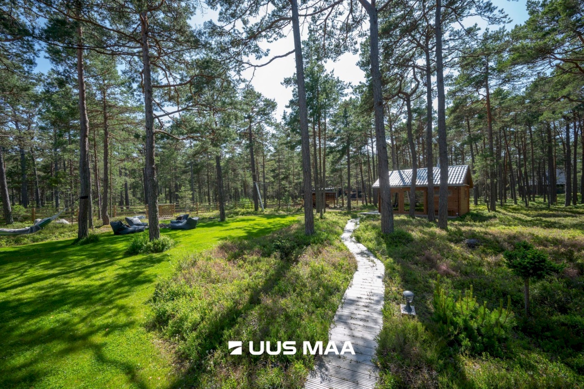 Lääne-Nigula vald, Rooslepa küla/Roslep, Trollitee