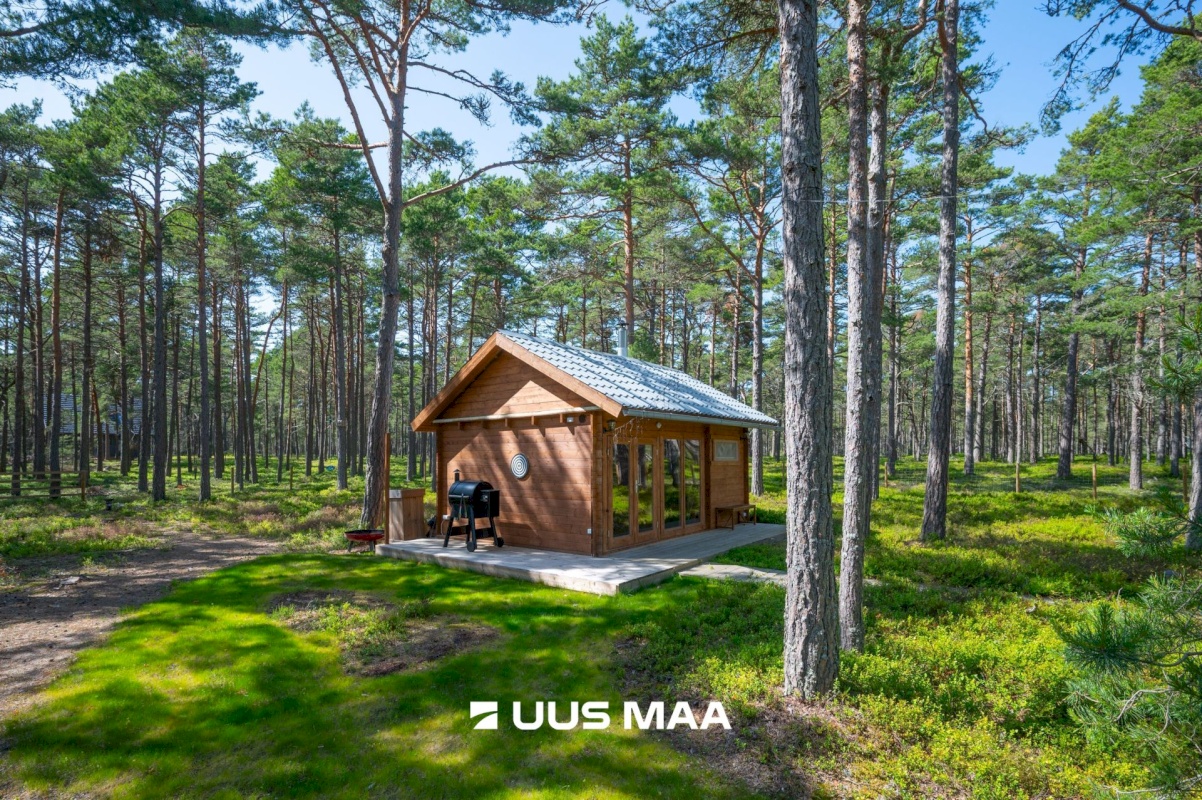 Lääne-Nigula vald, Rooslepa küla/Roslep, Trollitee