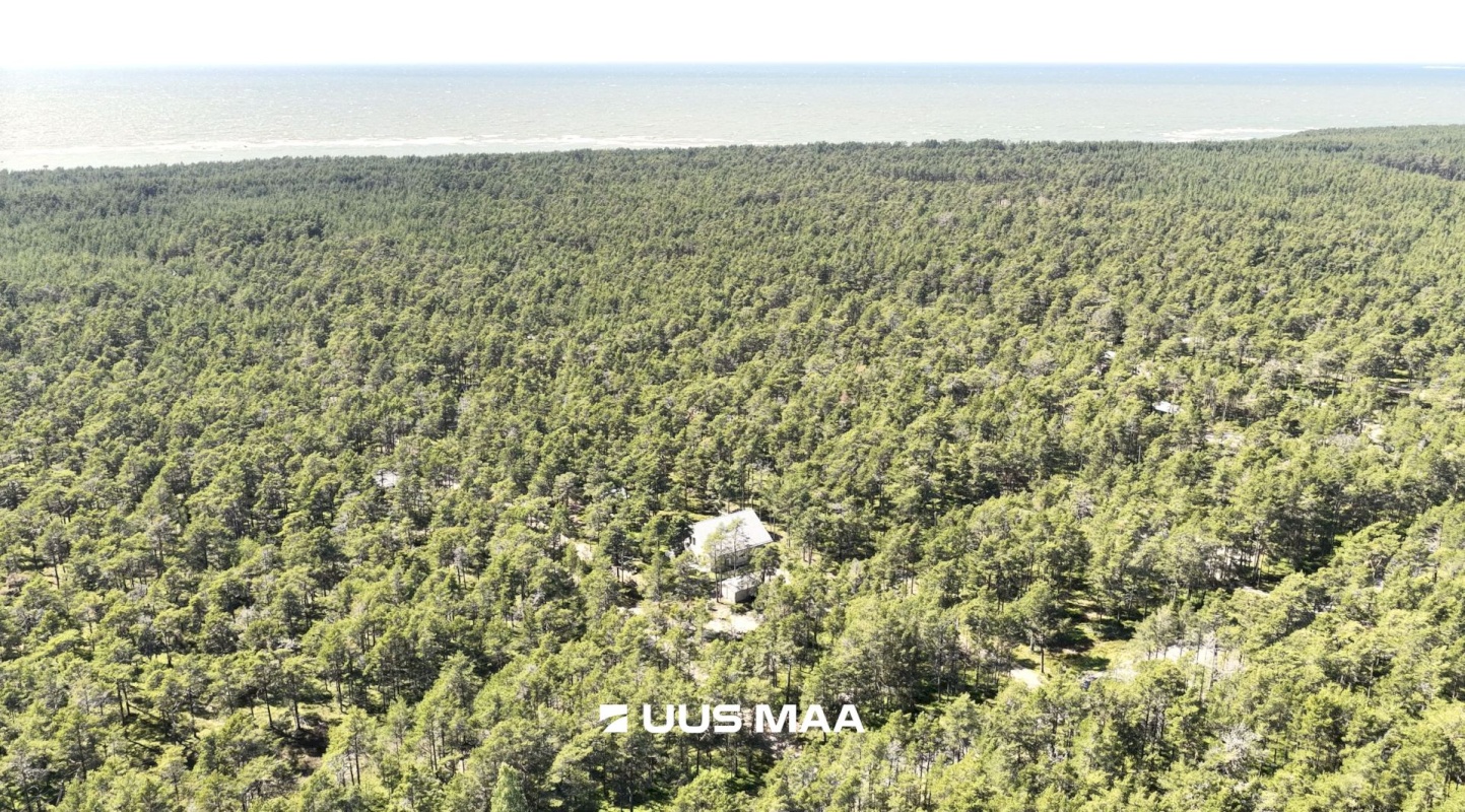 Lääne-Nigula vald, Rooslepa küla/Roslep, Trollitee