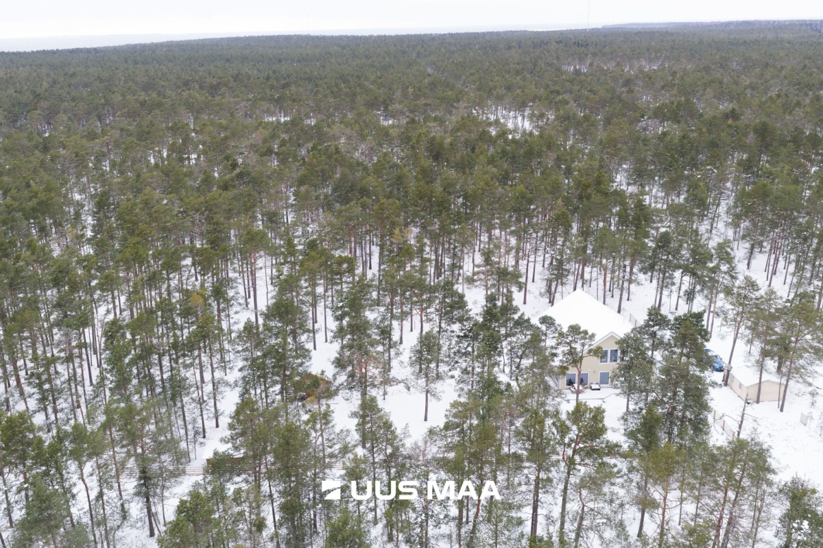 Lääne-Nigula vald, Rooslepa küla/Roslep, Trollitee