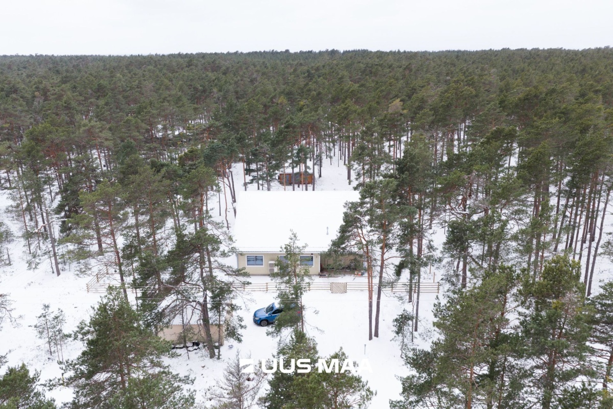 Lääne-Nigula vald, Rooslepa küla/Roslep, Trollitee