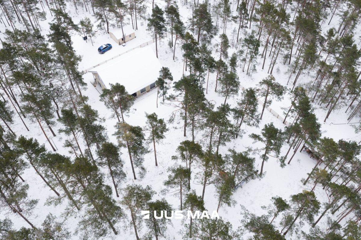 Lääne-Nigula vald, Rooslepa küla/Roslep, Trollitee
