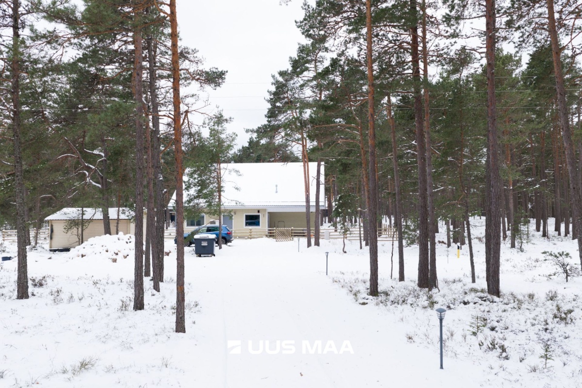 Lääne-Nigula vald, Rooslepa küla/Roslep, Trollitee