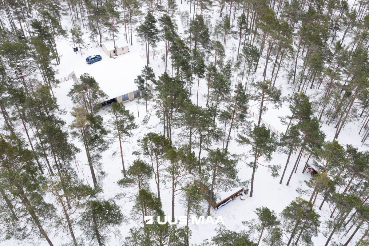 Lääne-Nigula vald, Rooslepa küla/Roslep, Trollitee