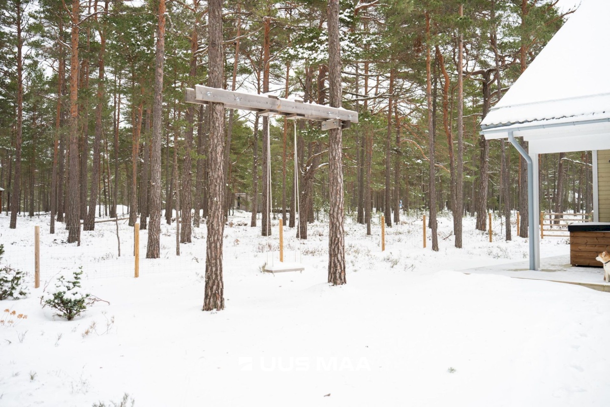Lääne-Nigula vald, Rooslepa küla/Roslep, Trollitee