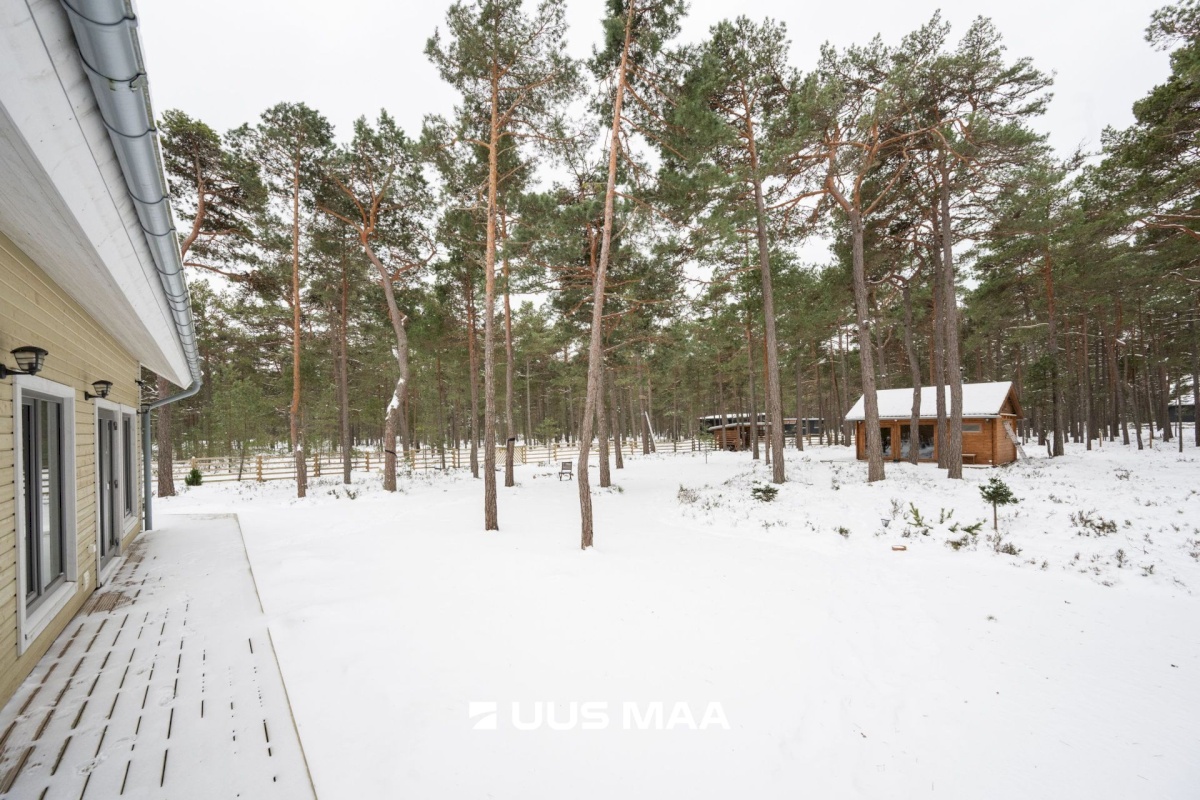 Lääne-Nigula vald, Rooslepa küla/Roslep, Trollitee