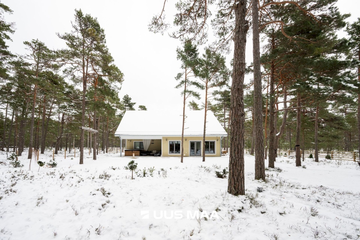 Lääne-Nigula vald, Rooslepa küla/Roslep, Trollitee
