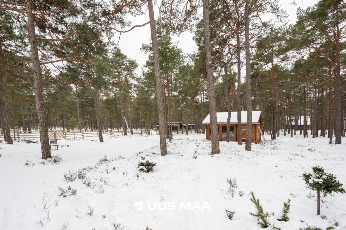 Lääne-Nigula vald, Rooslepa küla/Roslep, Trollitee
