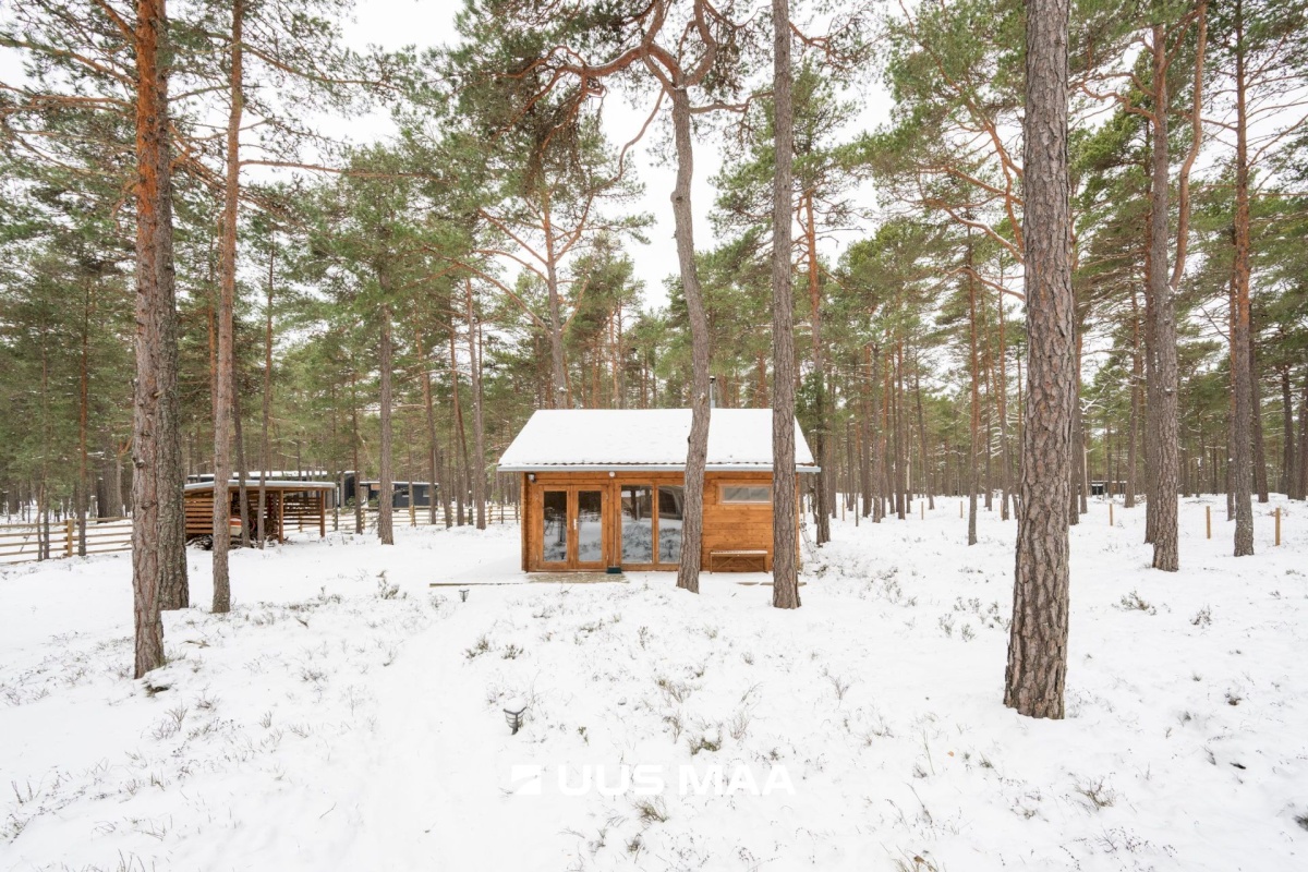 Lääne-Nigula vald, Rooslepa küla/Roslep, Trollitee