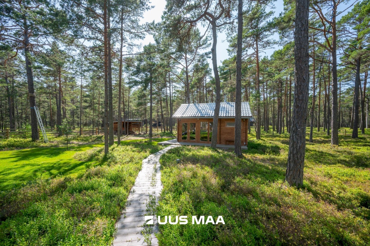 Lääne-Nigula vald, Rooslepa küla/Roslep, Trollitee