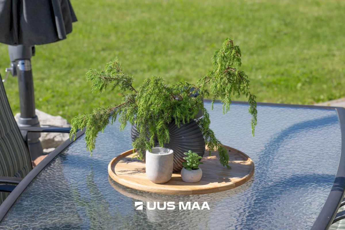 Saue vald, Vanamõisa küla, Pistriku tee 16