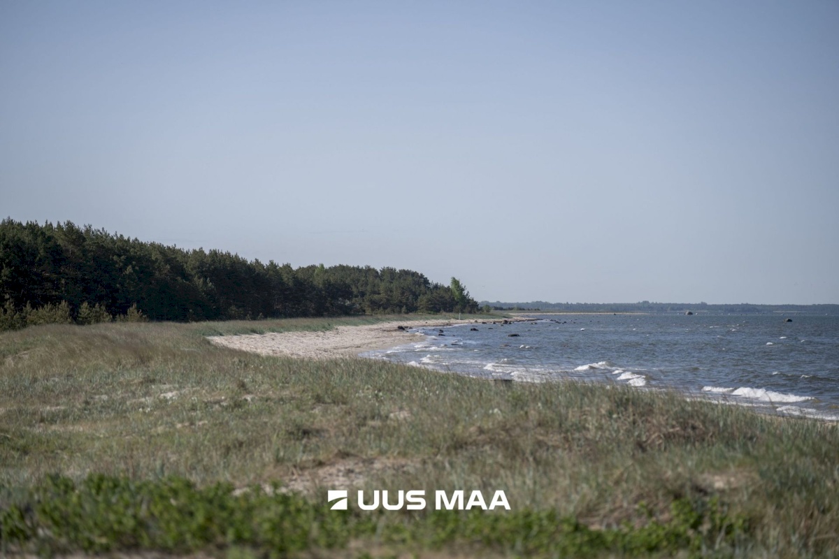 Lääne-Nigula vald, Elbiku küla/Ölbäck, Kasekaku