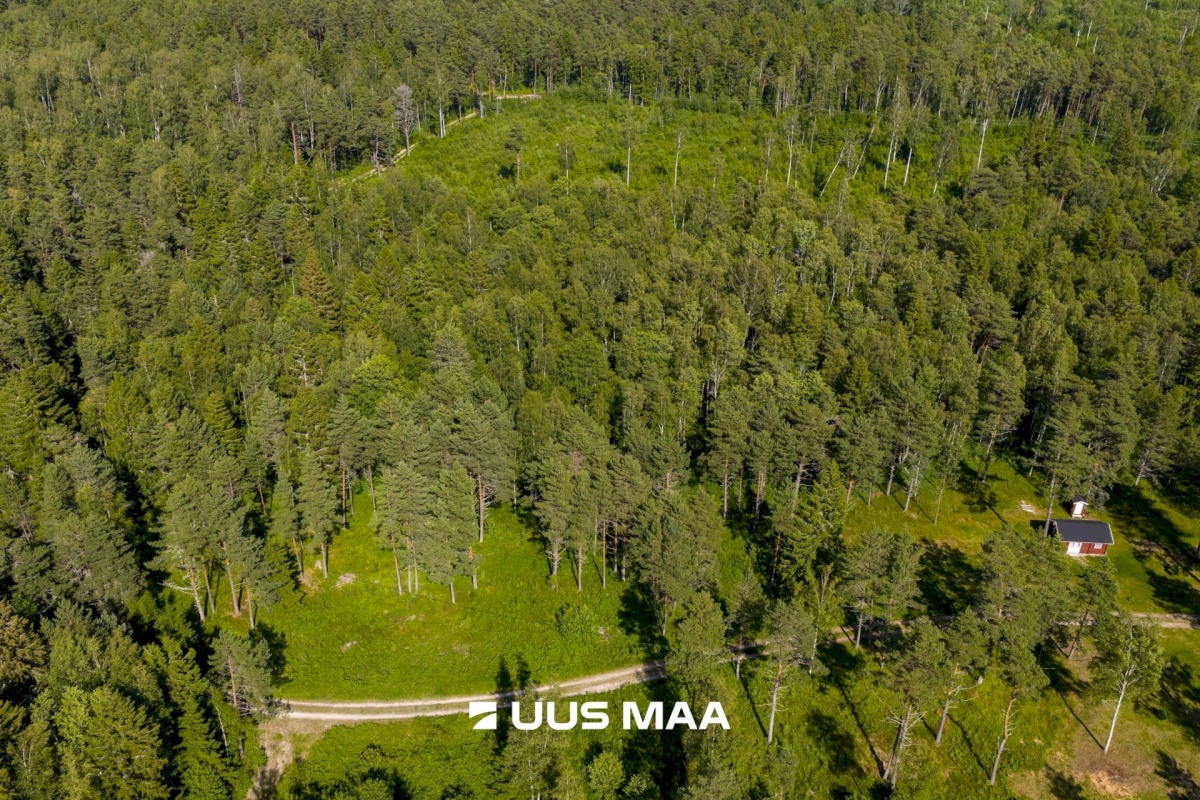 Lääne-Nigula vald, Elbiku küla/Ölbäck, Kasekaku