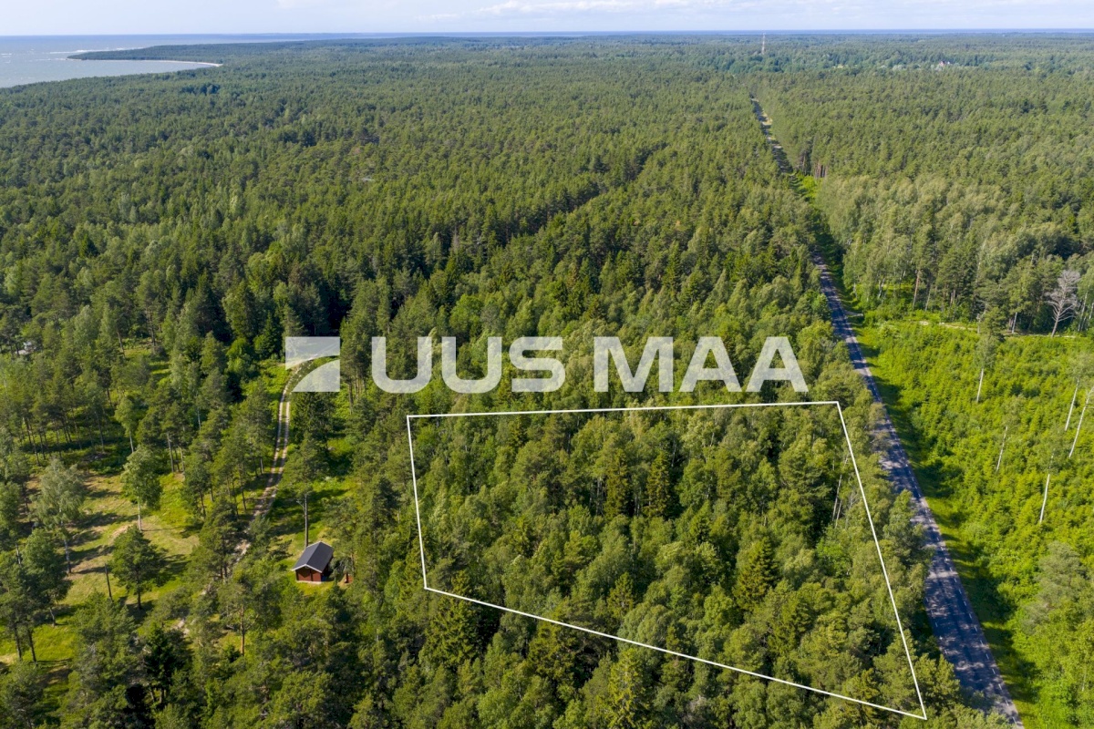 Lääne-Nigula vald, Elbiku küla/Ölbäck, Kasekaku