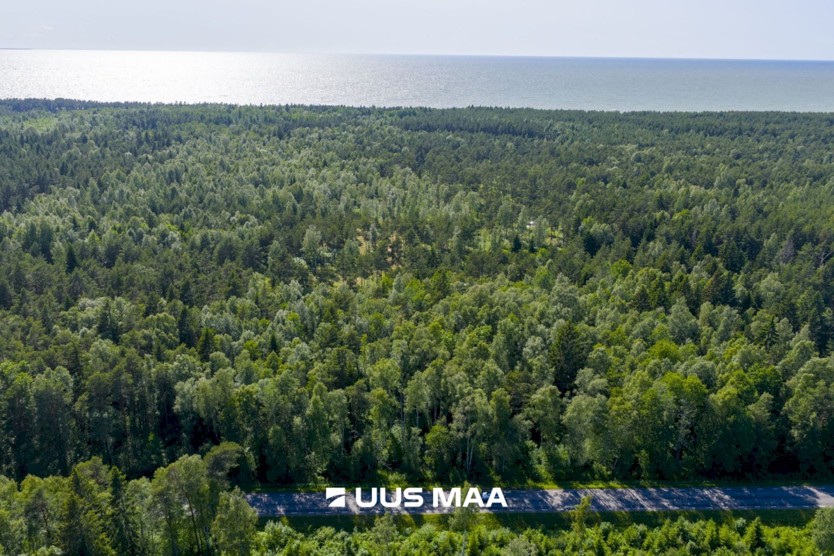 Lääne-Nigula vald, Elbiku küla/Ölbäck, Kasekaku