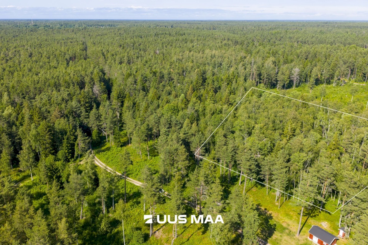 Lääne-Nigula vald, Elbiku küla/Ölbäck, Kasekaku