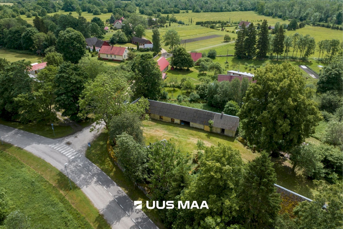 Muhu vald, Viira küla, Lauritse