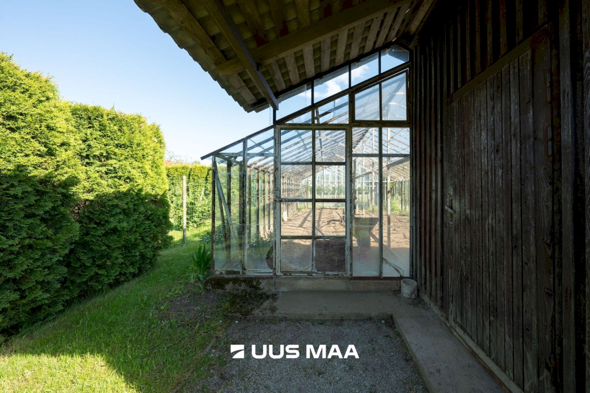 Saue vald, Kaasiku küla, Juveeli 10