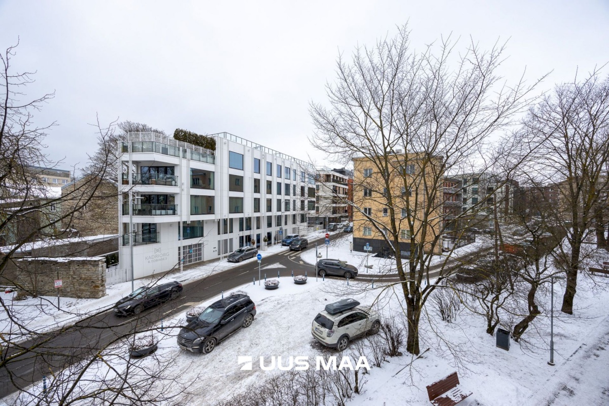 Tallinn, Kesklinna linnaosa, Kadriorg, Kollane 4