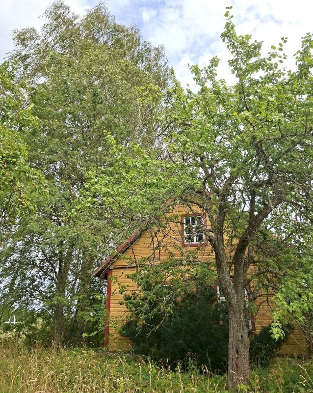 Mustvee vald, Saarjärve küla, Saarelehe