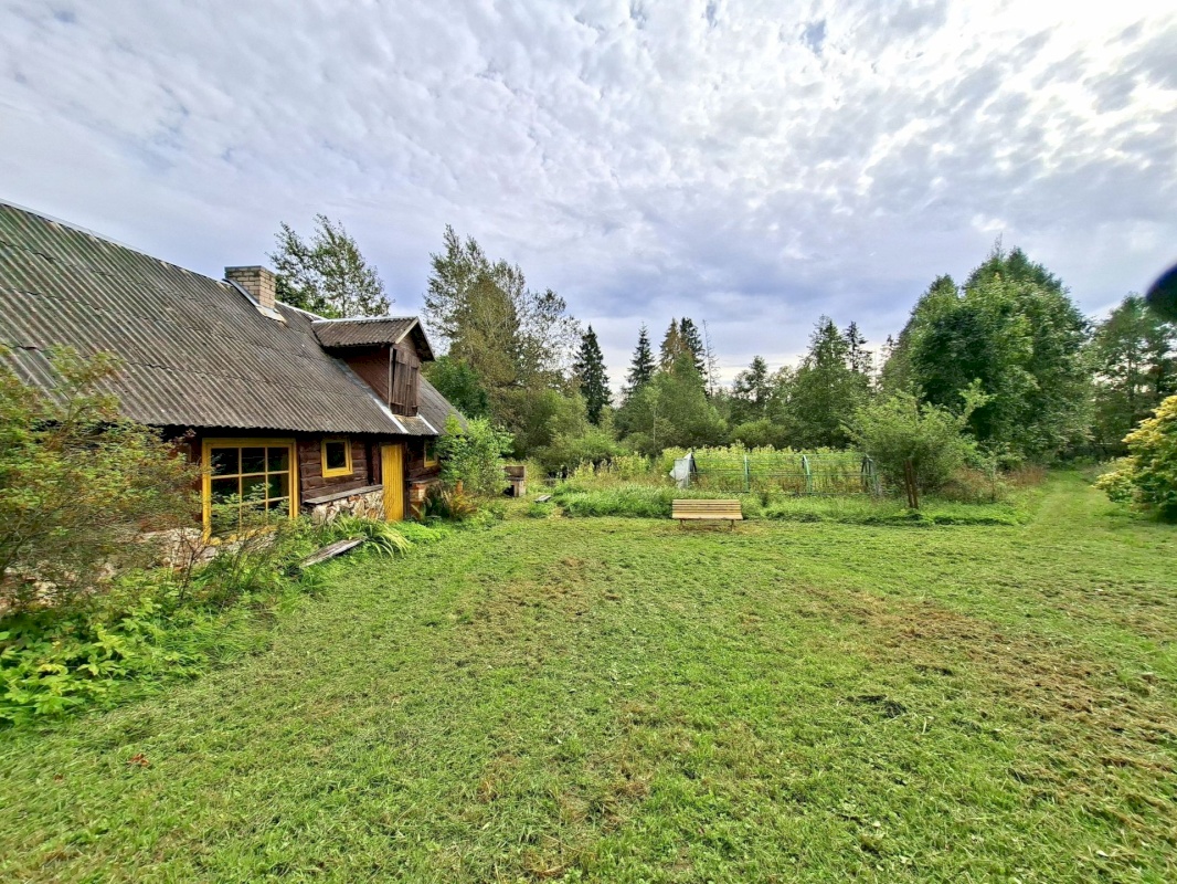 Mustvee vald, Saarjärve küla, Saarelehe