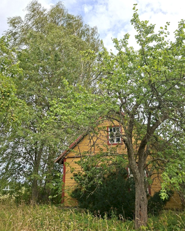 Mustvee vald, Saarjärve küla, Saarelehe