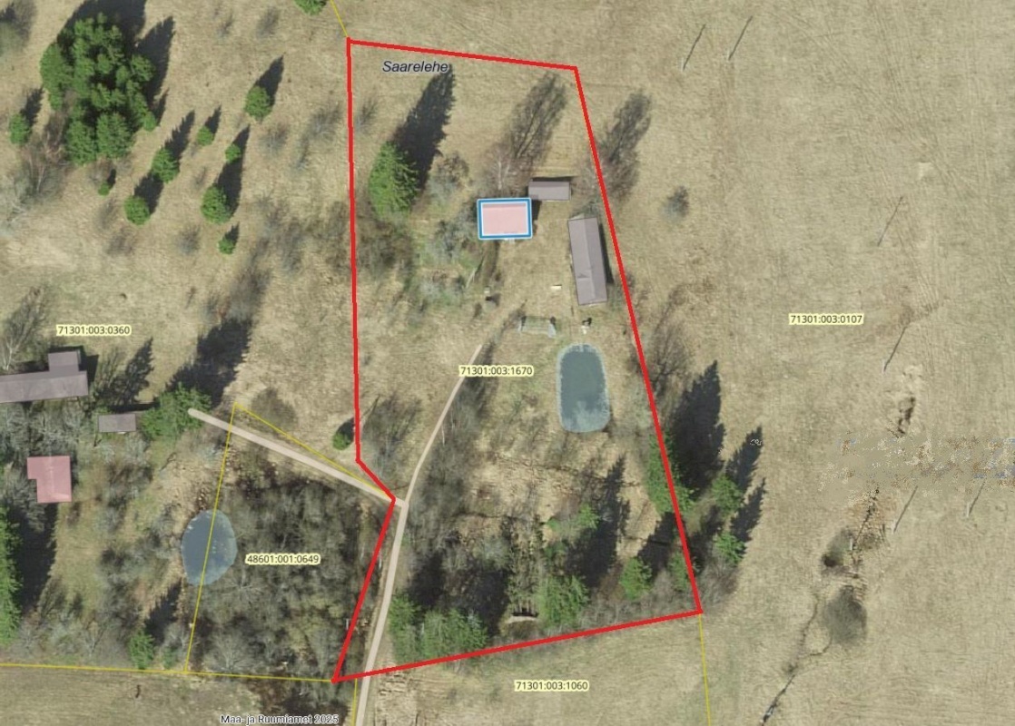 Mustvee vald, Saarjärve küla, Saarelehe