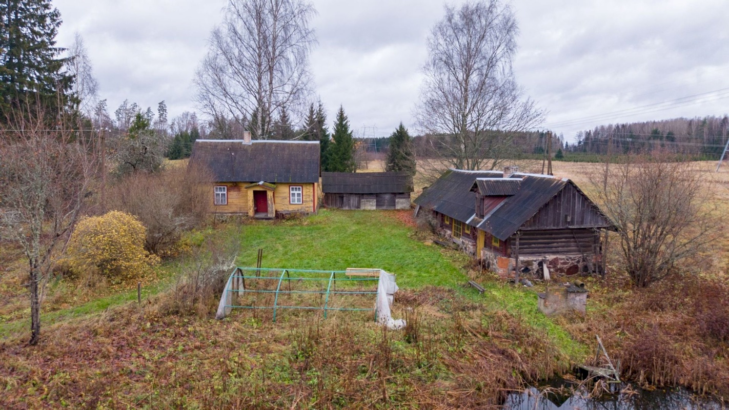 Mustvee vald, Saarjärve küla, Saarelehe
