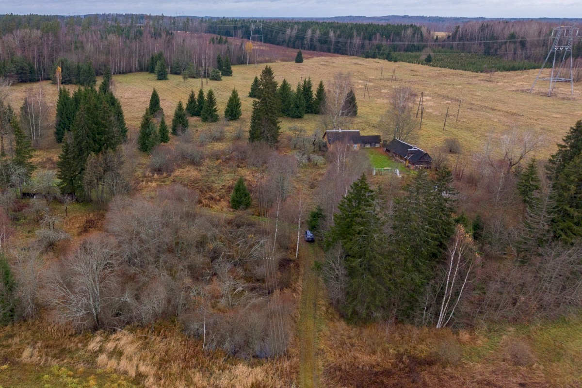 Mustvee vald, Saarjärve küla, Saarelehe