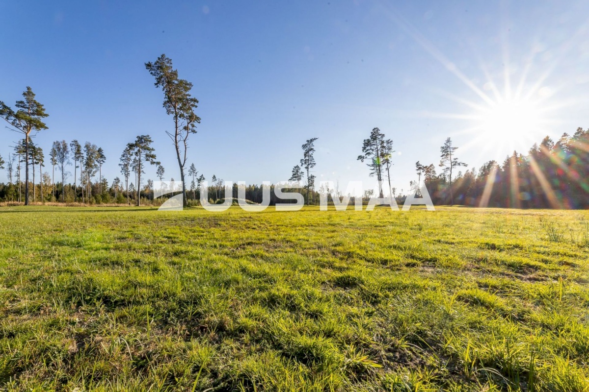 Hiiumaa vald, Paope küla, Laaneotsa kinnistu