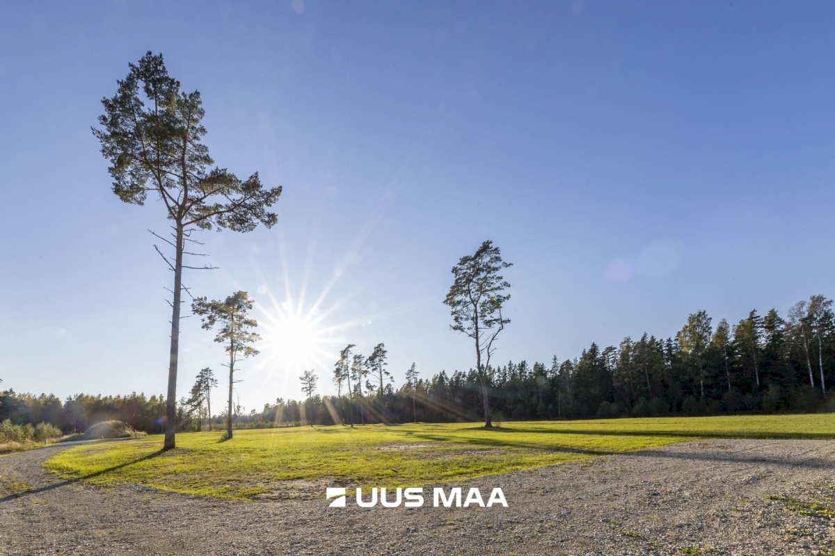 Hiiumaa vald, Paope küla, Laaneotsa kinnistu