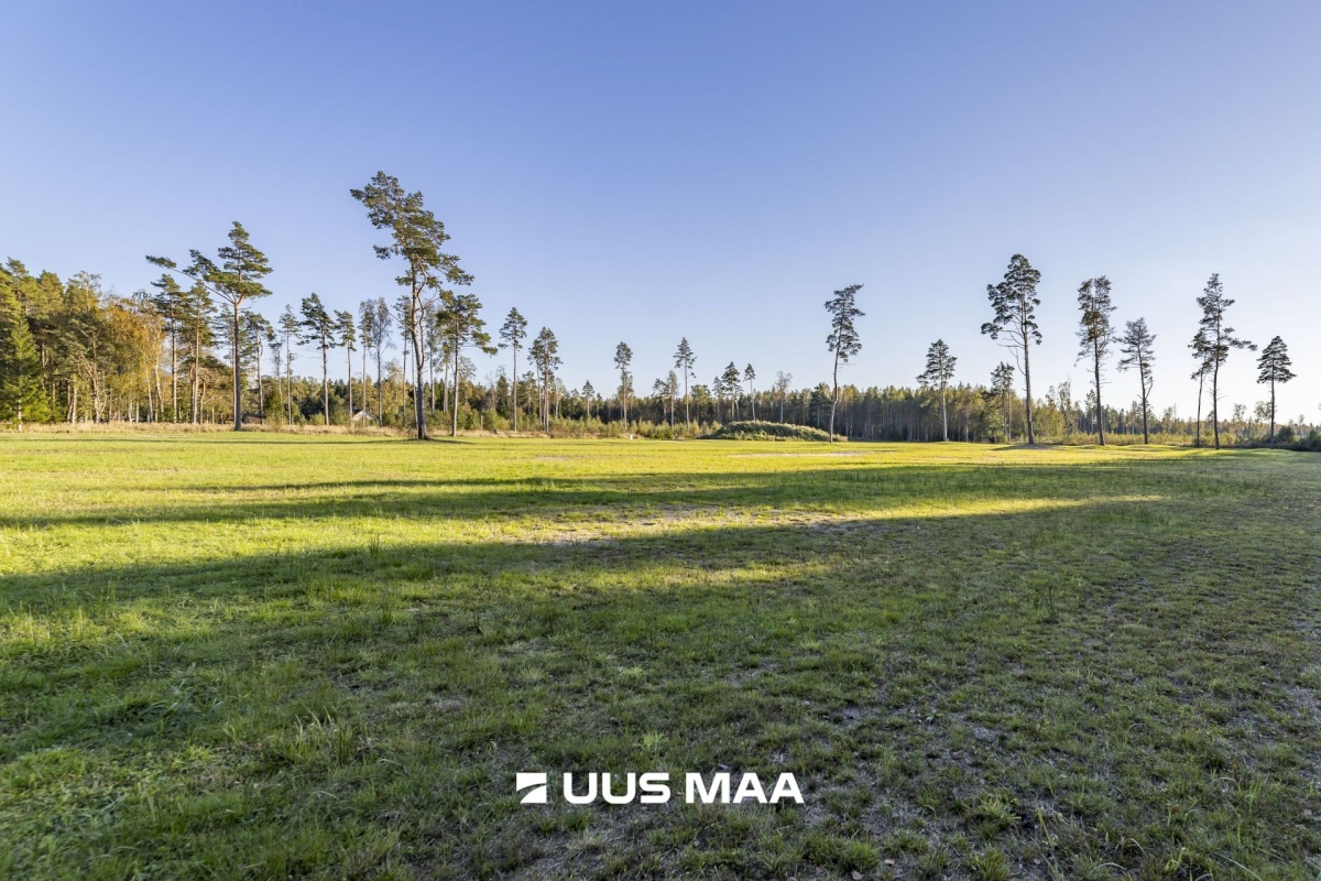 Hiiumaa vald, Paope küla, Laaneotsa kinnistu
