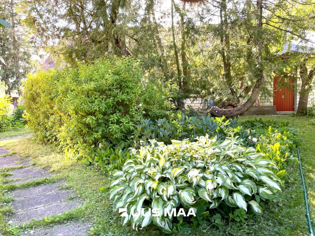 Lääne-Nigula vald, Võntküla