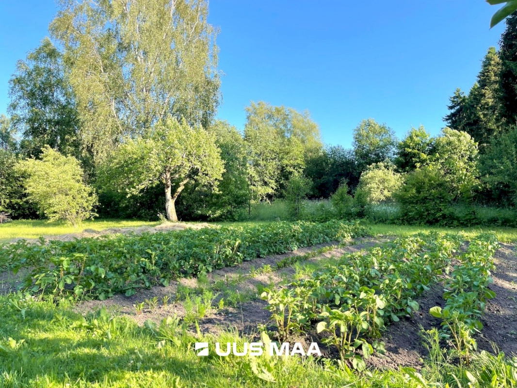 Lääne-Nigula vald, Võntküla