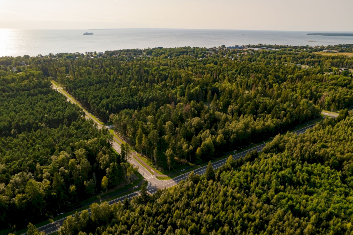 Viimsi vald, Pringi küla, Leesika tee 8