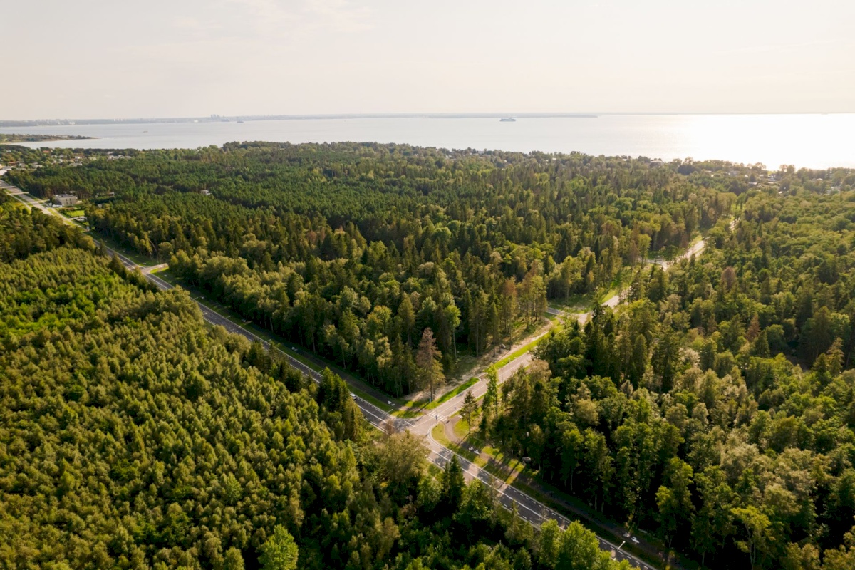 Viimsi vald, Pringi küla, Muraka tee 34