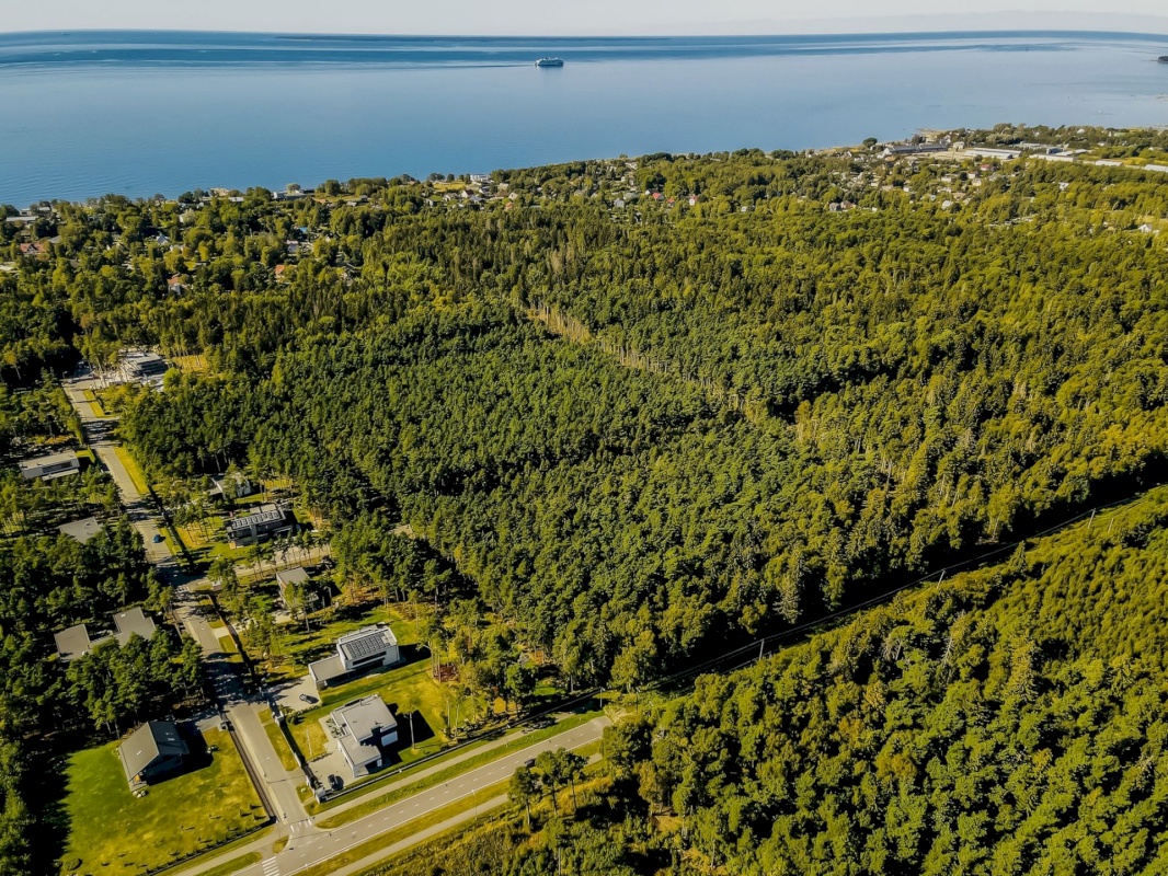Viimsi vald, Pringi küla, Muraka tee 34