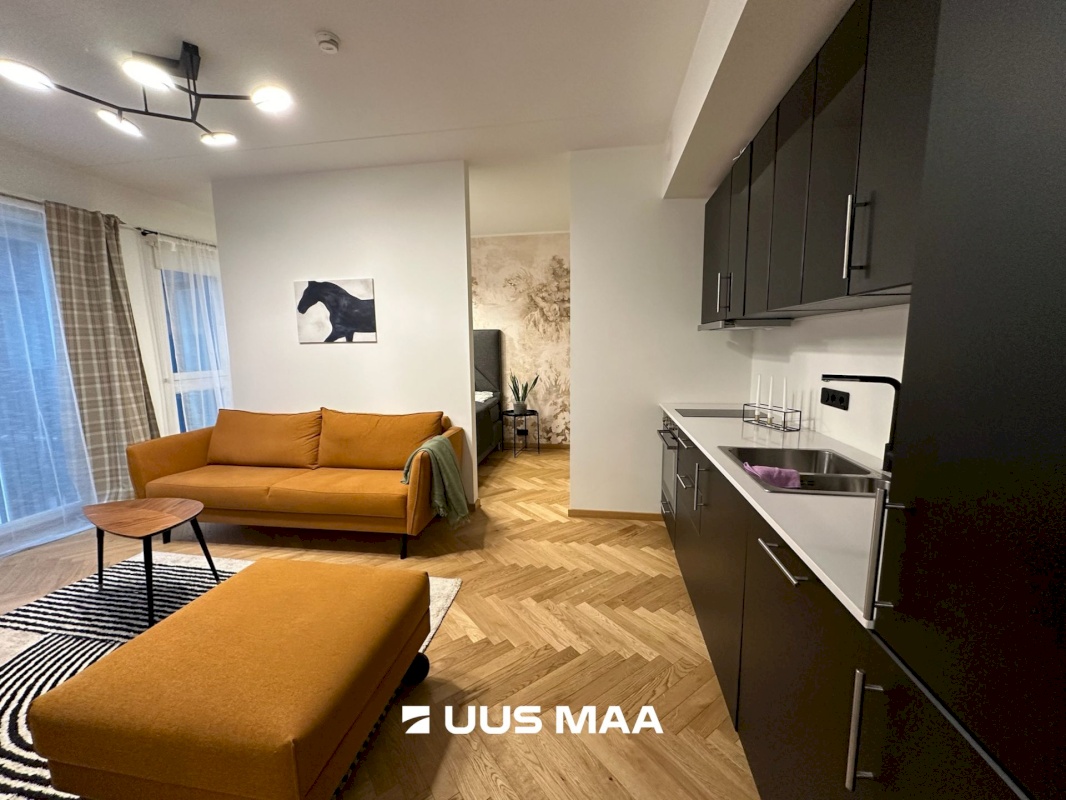 Tallinn, Kesklinna linnaosa, Uus Maailm, Toom-Kuninga tn 15