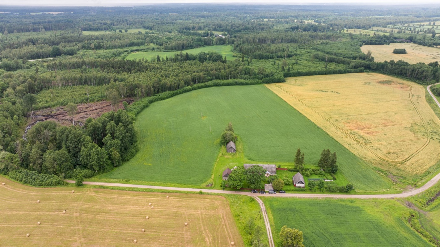 Märjamaa vald, Pühatu küla