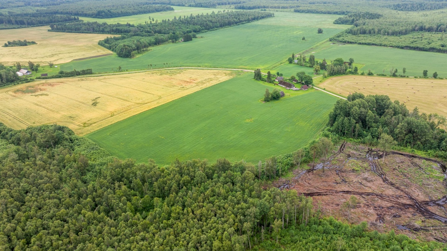 Märjamaa vald, Pühatu küla