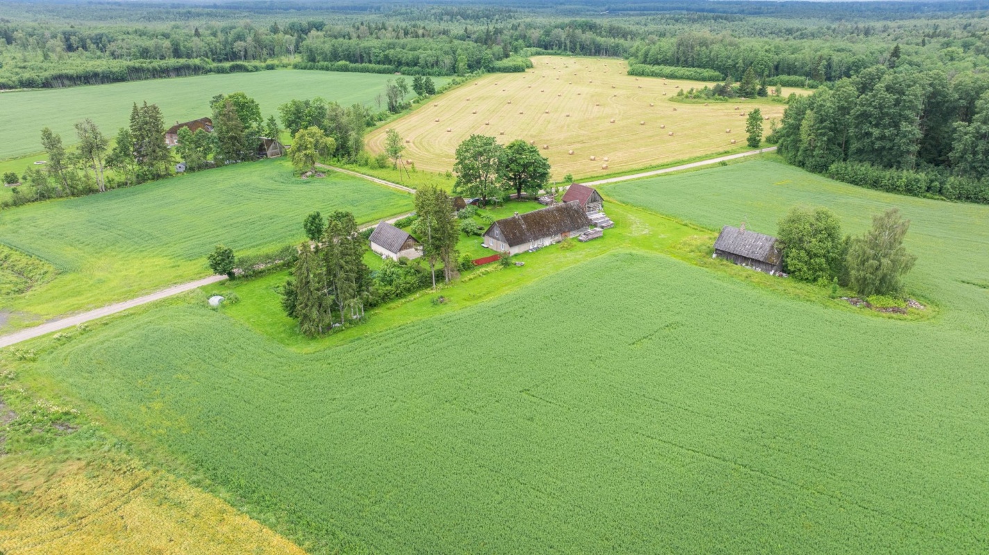 Märjamaa vald, Pühatu küla
