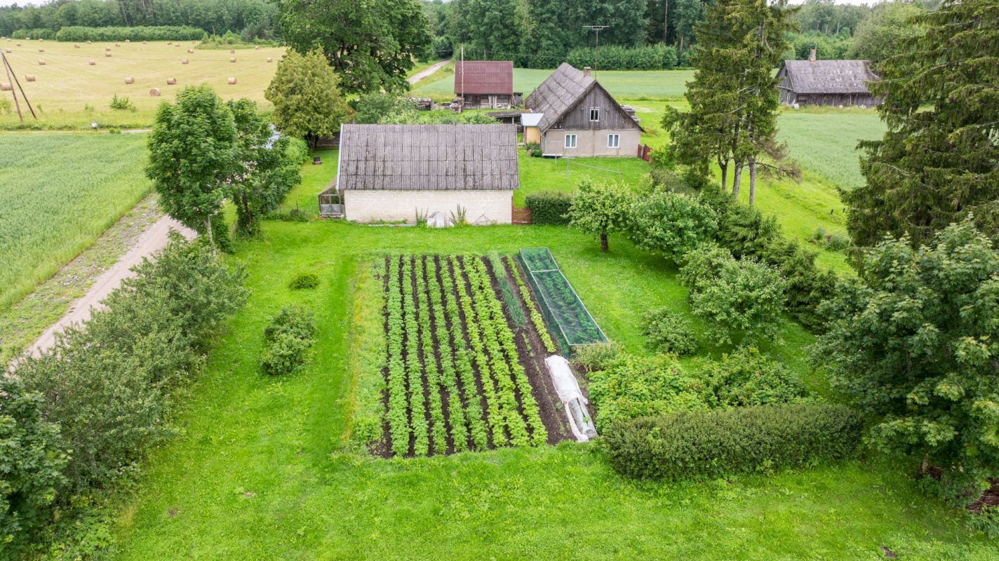 Märjamaa vald, Pühatu küla