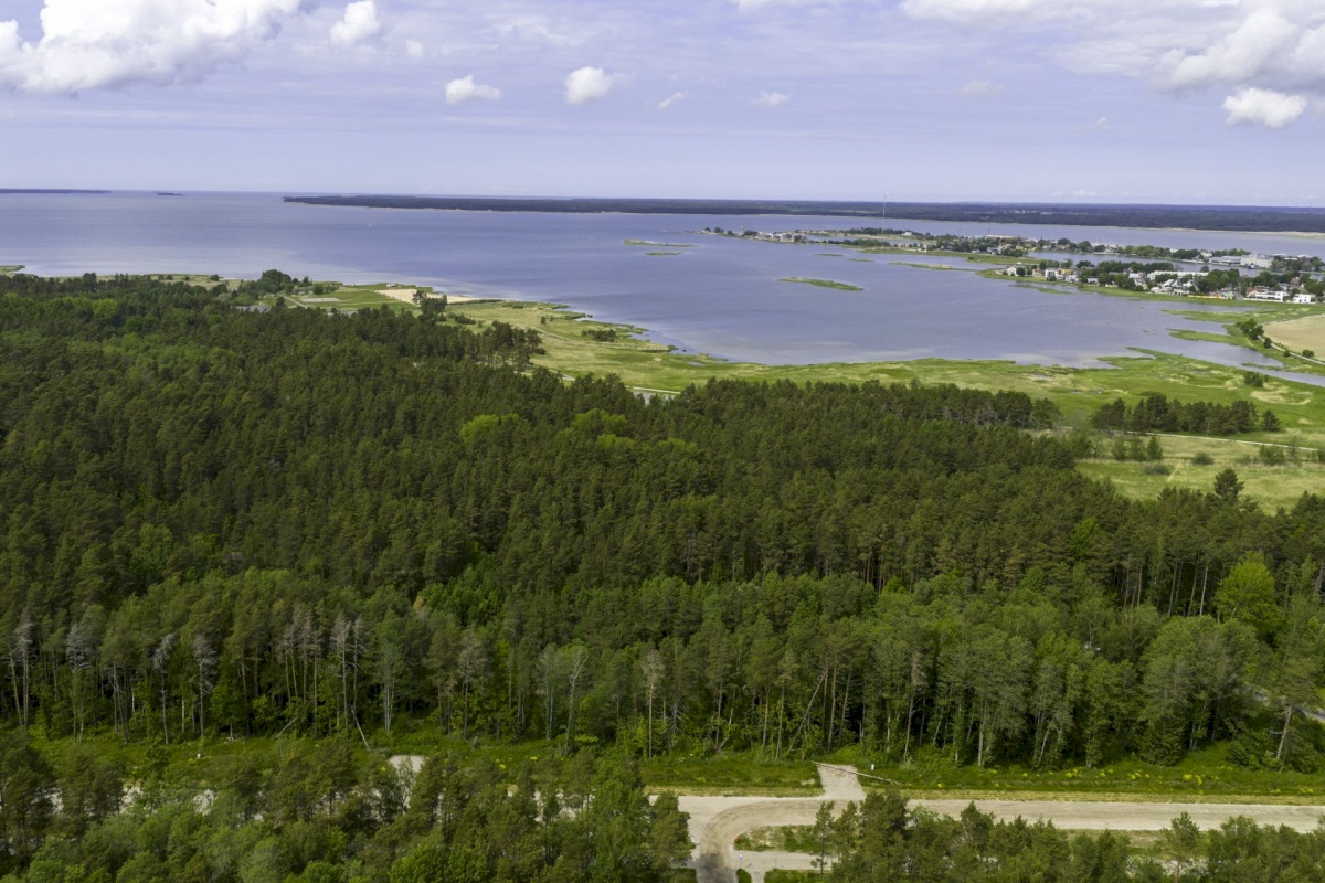 Haapsalu linn, Haapsalu linn, Paralepa tee 6
