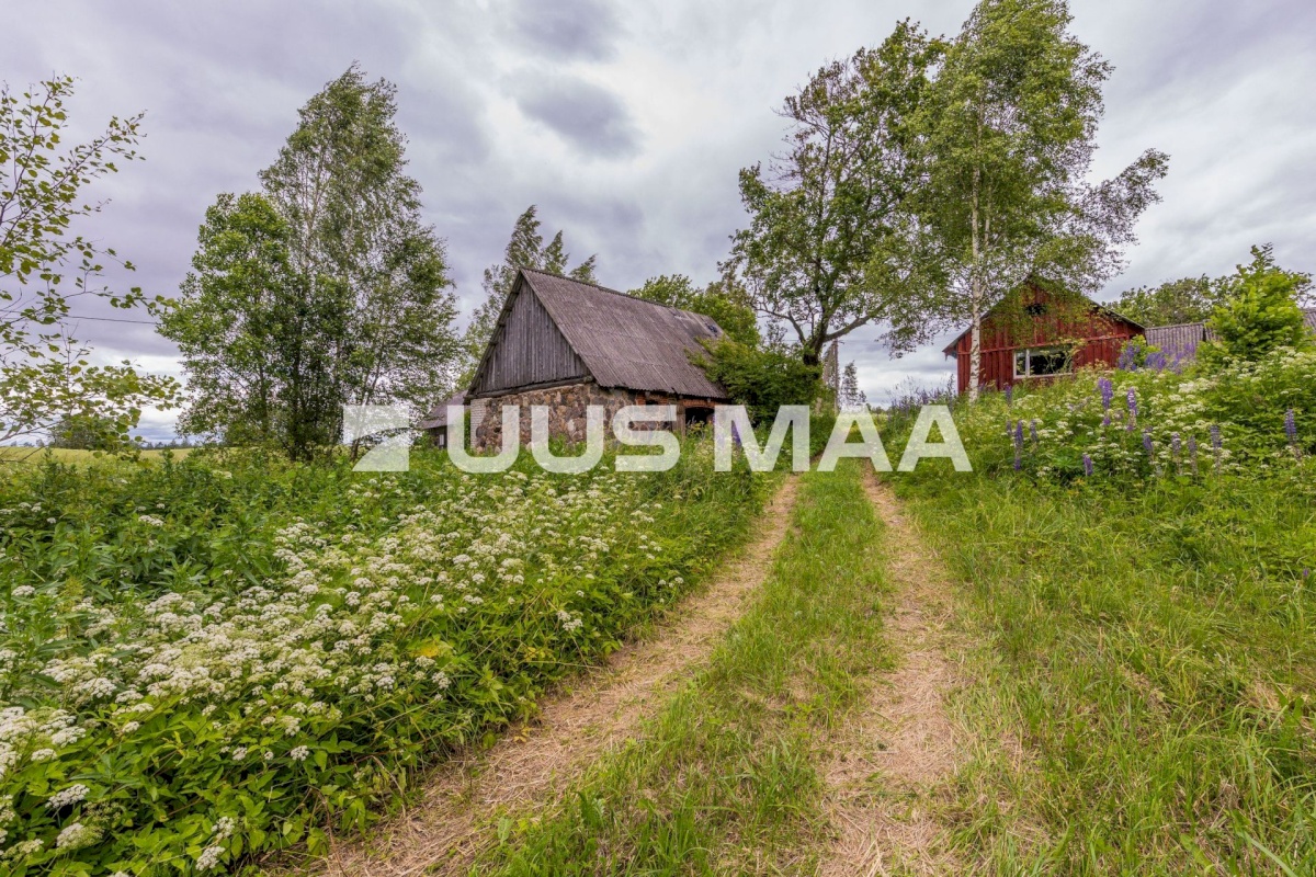Antsla vald, Savilöövi küla, Vana-Naska; Nurga-Naska